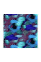 Foulard en soie Flora Aquatique - Soi Paris