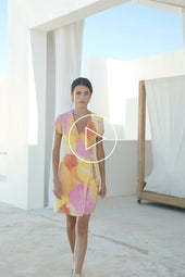 video image