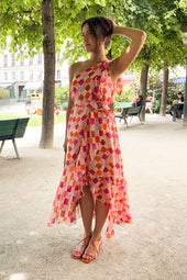 L'Angélique Arlequin Dress