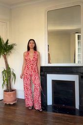 video image